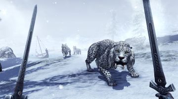 Immagine -3 del gioco The Elder Scrolls Online: Greymoor per PlayStation 4